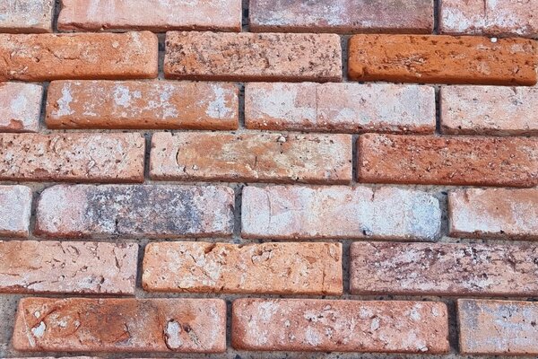 Ziegelfliesenmanufaktur | Ziegelriemchen und Winkelriemchen für die Wand | Backsteintyp Stettin