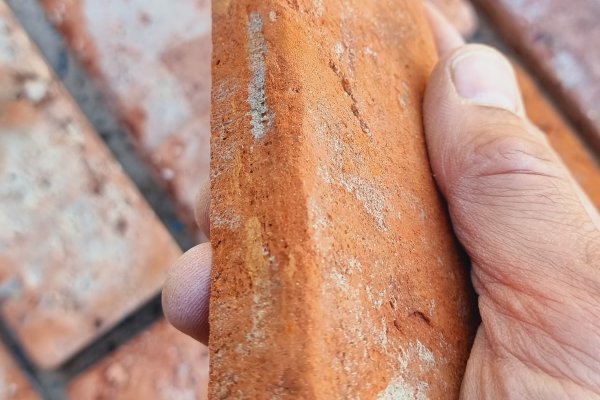 Ziegelfliesenmanufaktur | Ziegelriemchen und Winkelriemchen für die Wand | Backsteintyp Stettin
