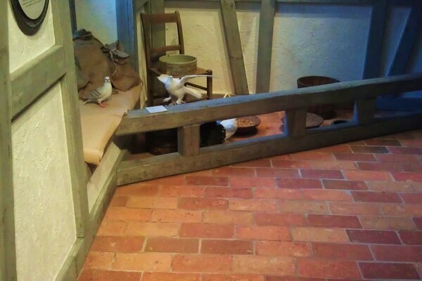 Ziegelfliesenmanufaktur | Terracotta Fliese (Ziegelfliese) Backsteintyp Grimma